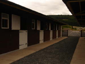stables4.jpg